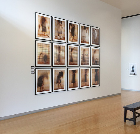 Sense of Self at Yuma Fine Art Center, 2016