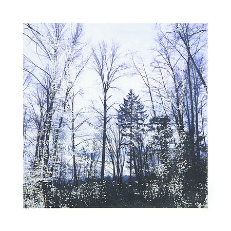 Waiting to Disappear, #1 of 5