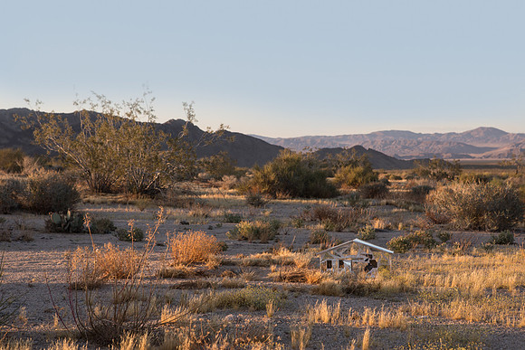 June 4, Yucca Valley