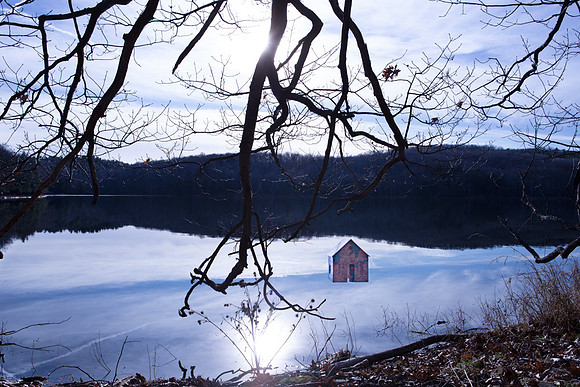 November 23, Forget Me Not