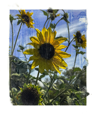 Hope, #1 of 5