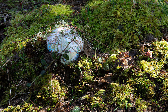 Rewilding the Land