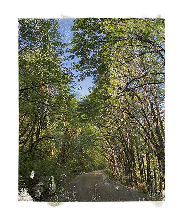 Cedar River Trail, #2 of 5